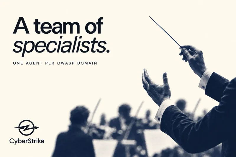 A team of specialists: one agent per OWASP domain